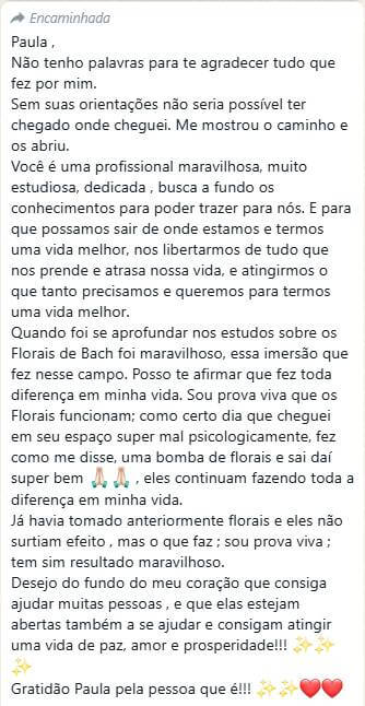 depoimento paula guaratini